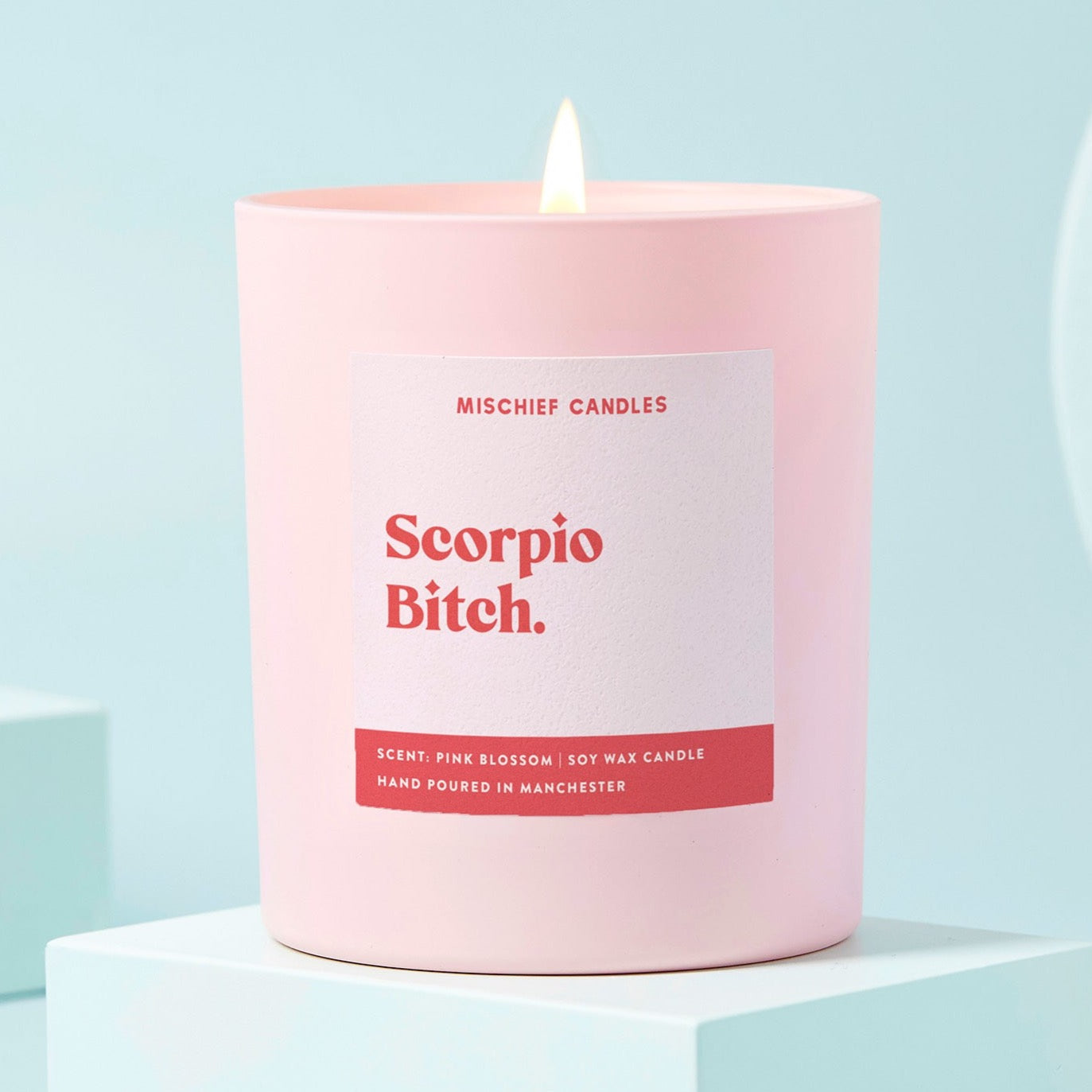 Scorpio Birthday Gift Funny Zodiac Candle Scorpio Bitch