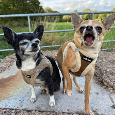 Step In Soft Touch Suede Faux Fur Lined Puppy and Small Dog Harness Mocha