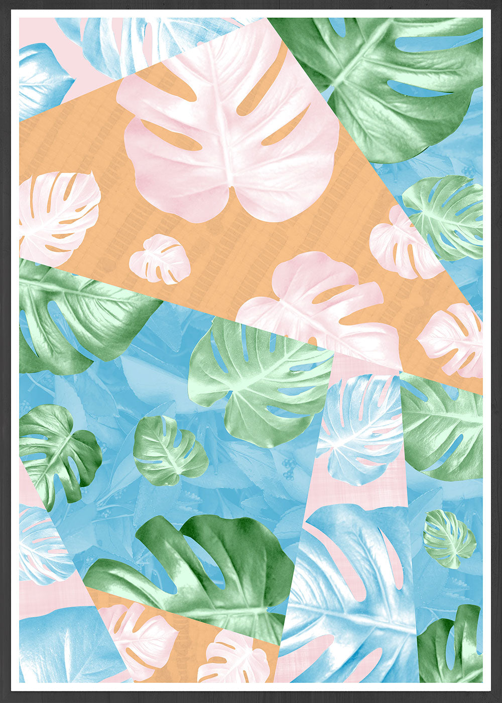 Monstera Deliciosa House Plant Art