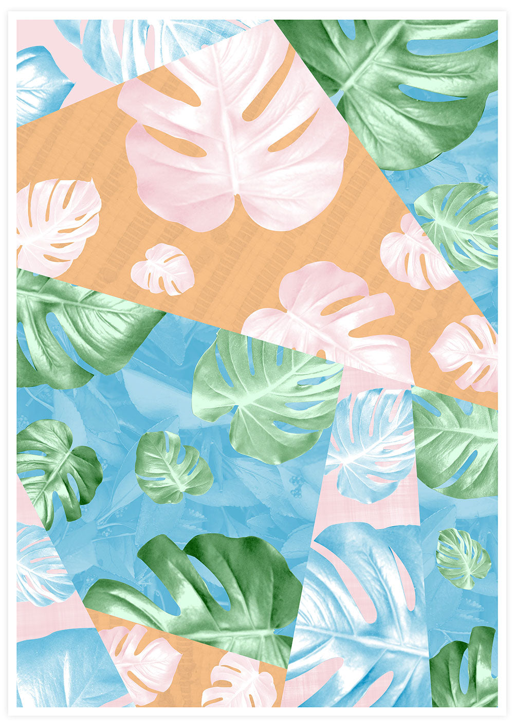Monstera Deliciosa House Plant Art