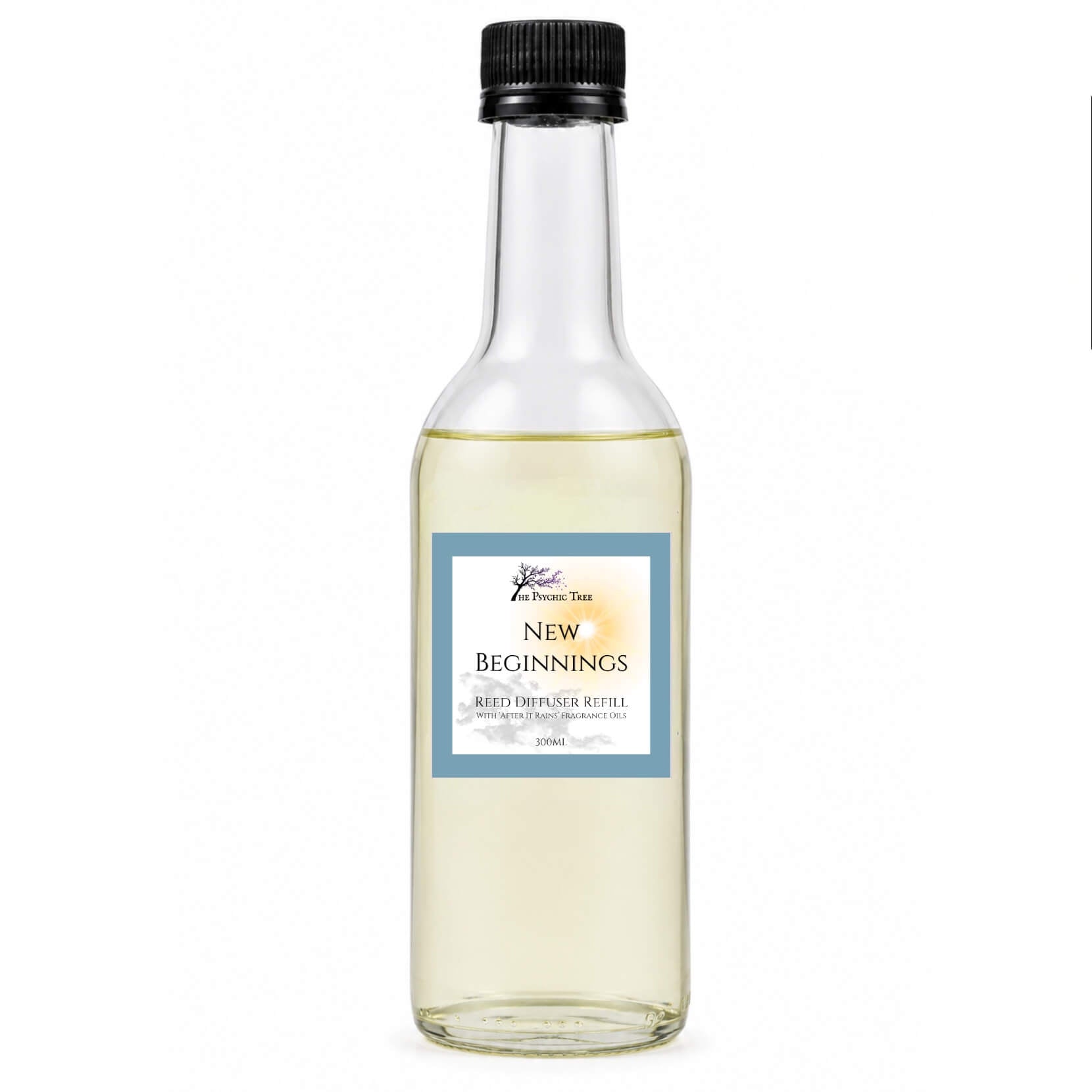 New Beginnings Crystal Infused Reed Diffuser