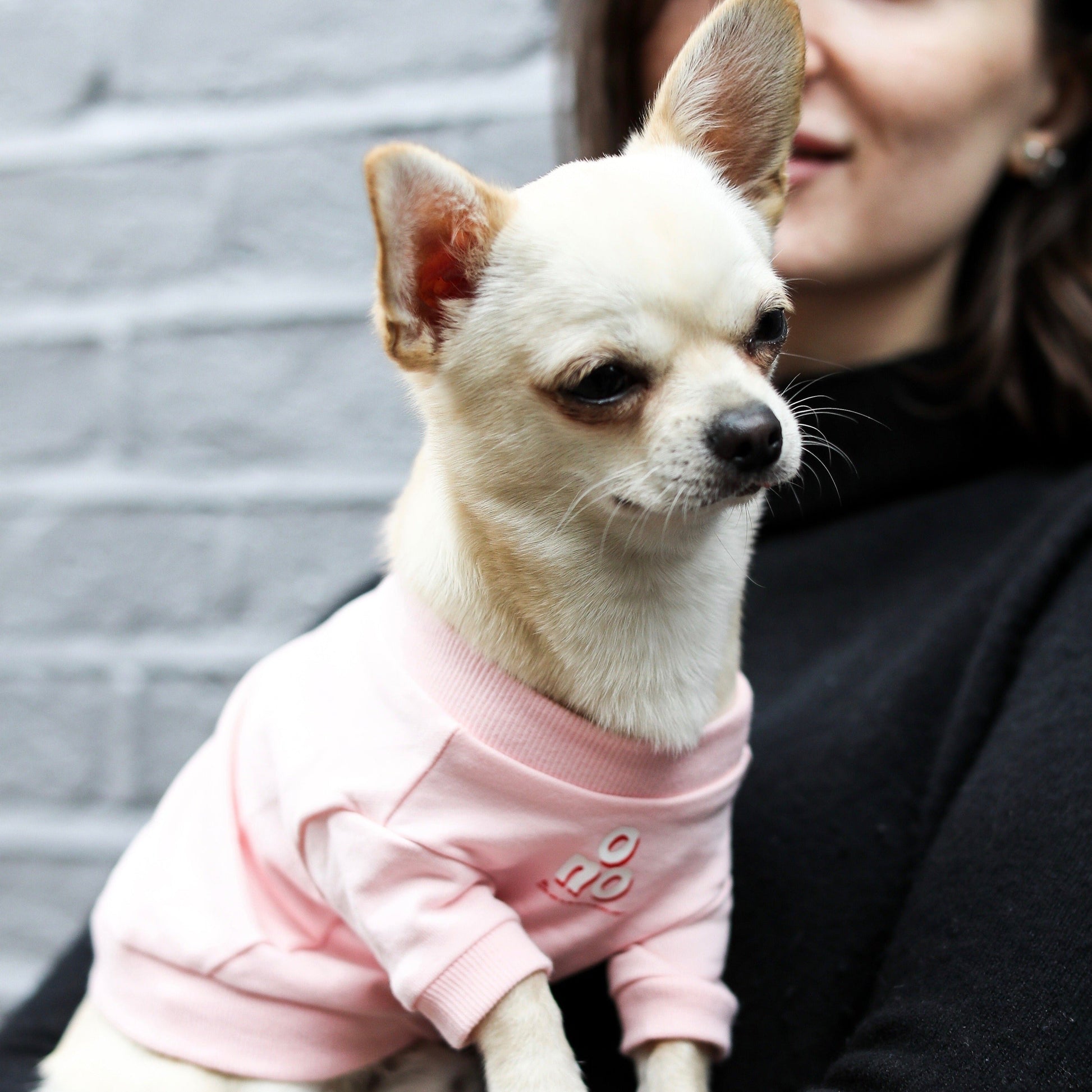 O NO Sweatshirt in Pink and Black