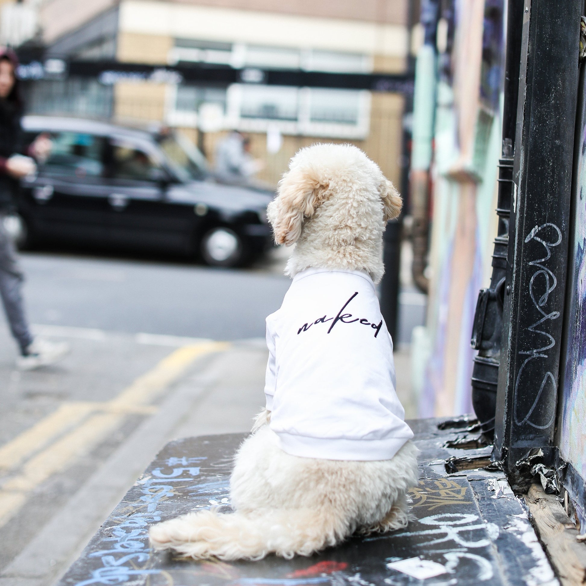 Naked Embroidered Sweatshirt in White and Apricot