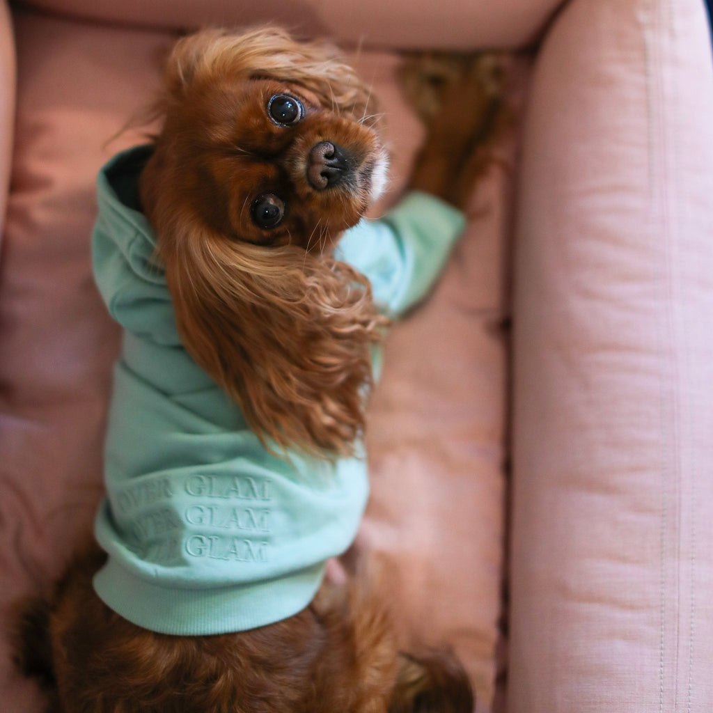 Embroidered Hoodie