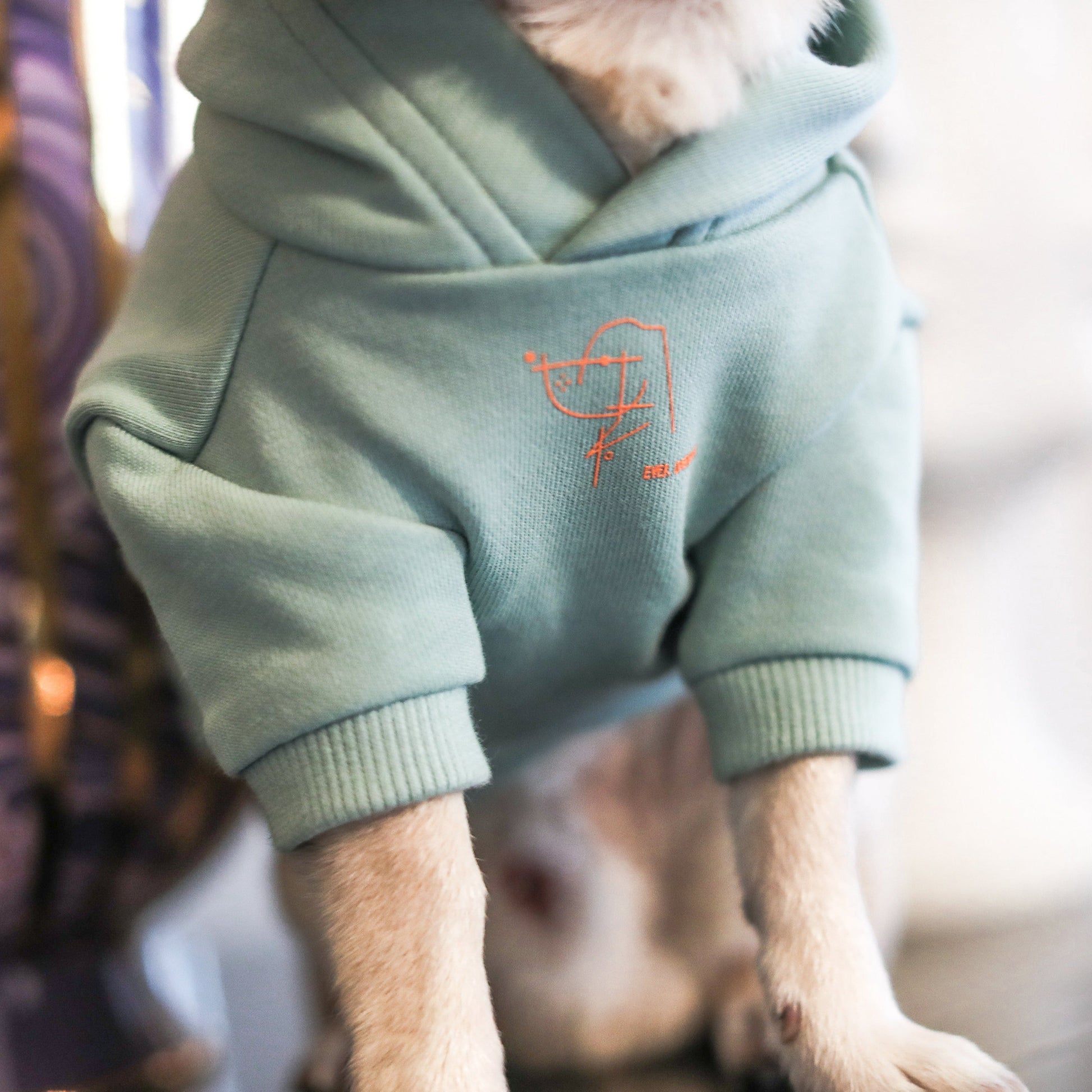 Stick Figure Hoodie in White and Mint Green