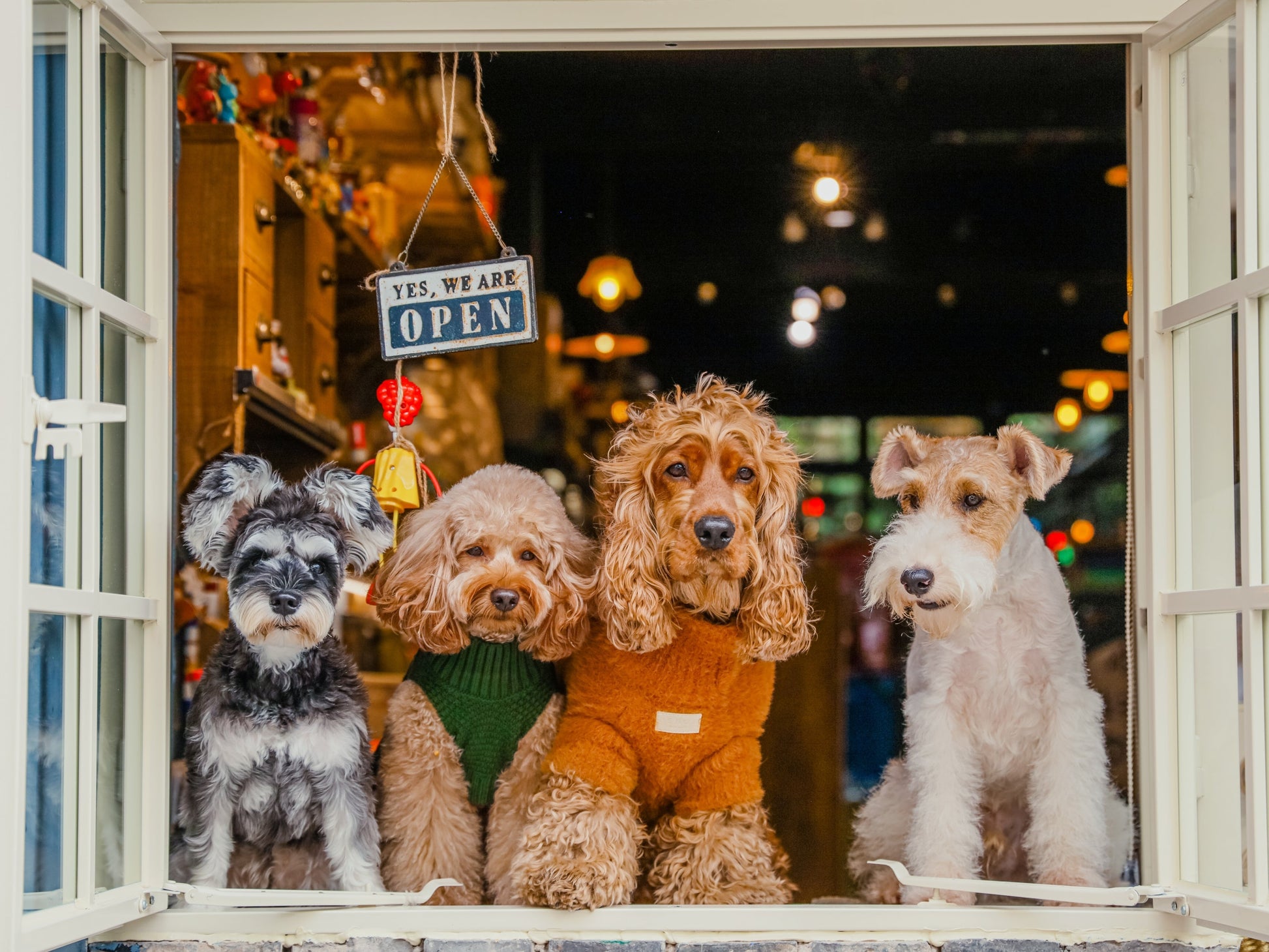 Green Pet Sweater Vest for Dogs and Cats