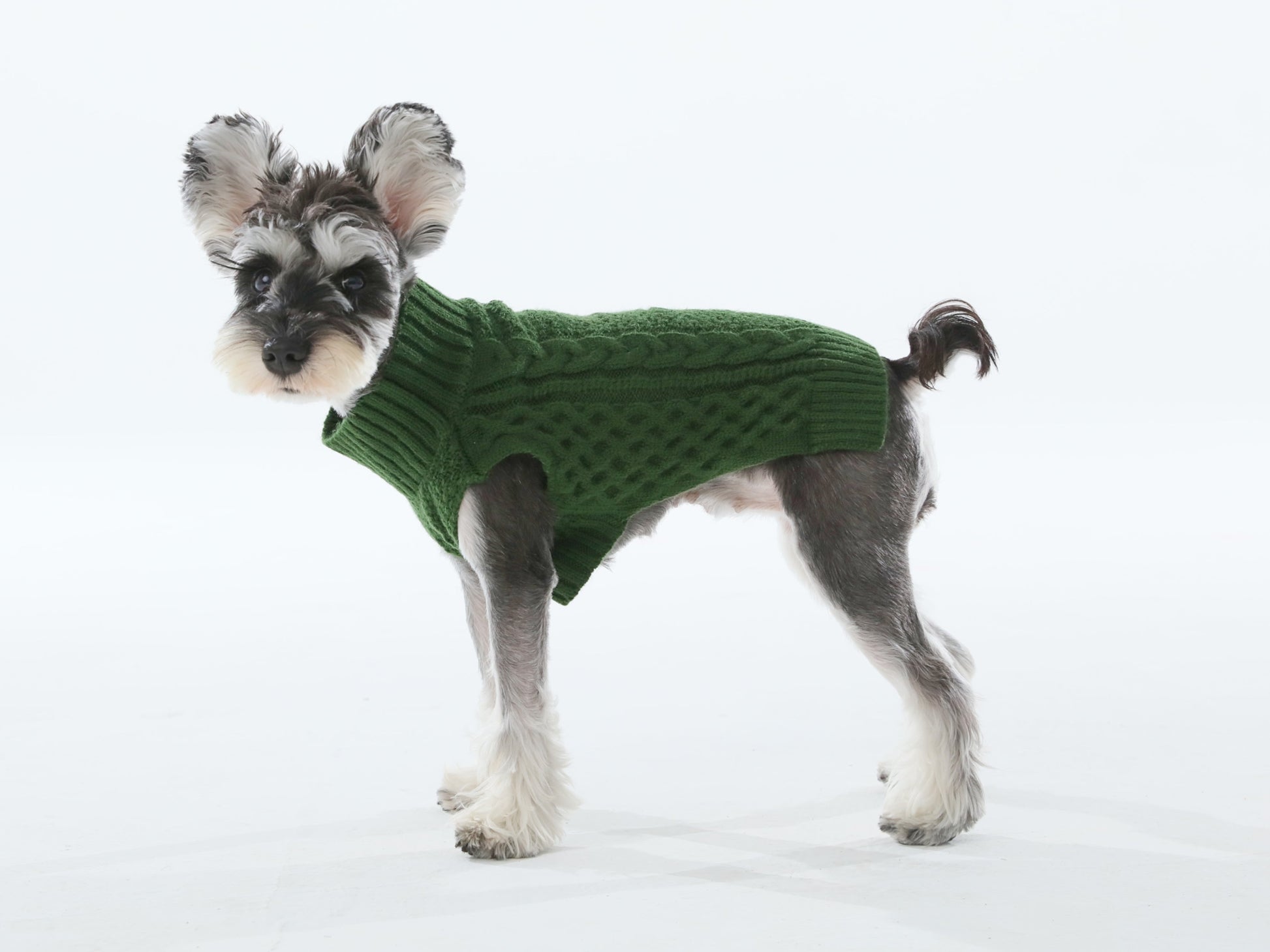 Green Pet Sweater Vest for Dogs and Cats