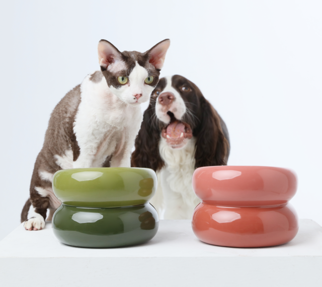 Soufflé Pet Bowl Avocado Green