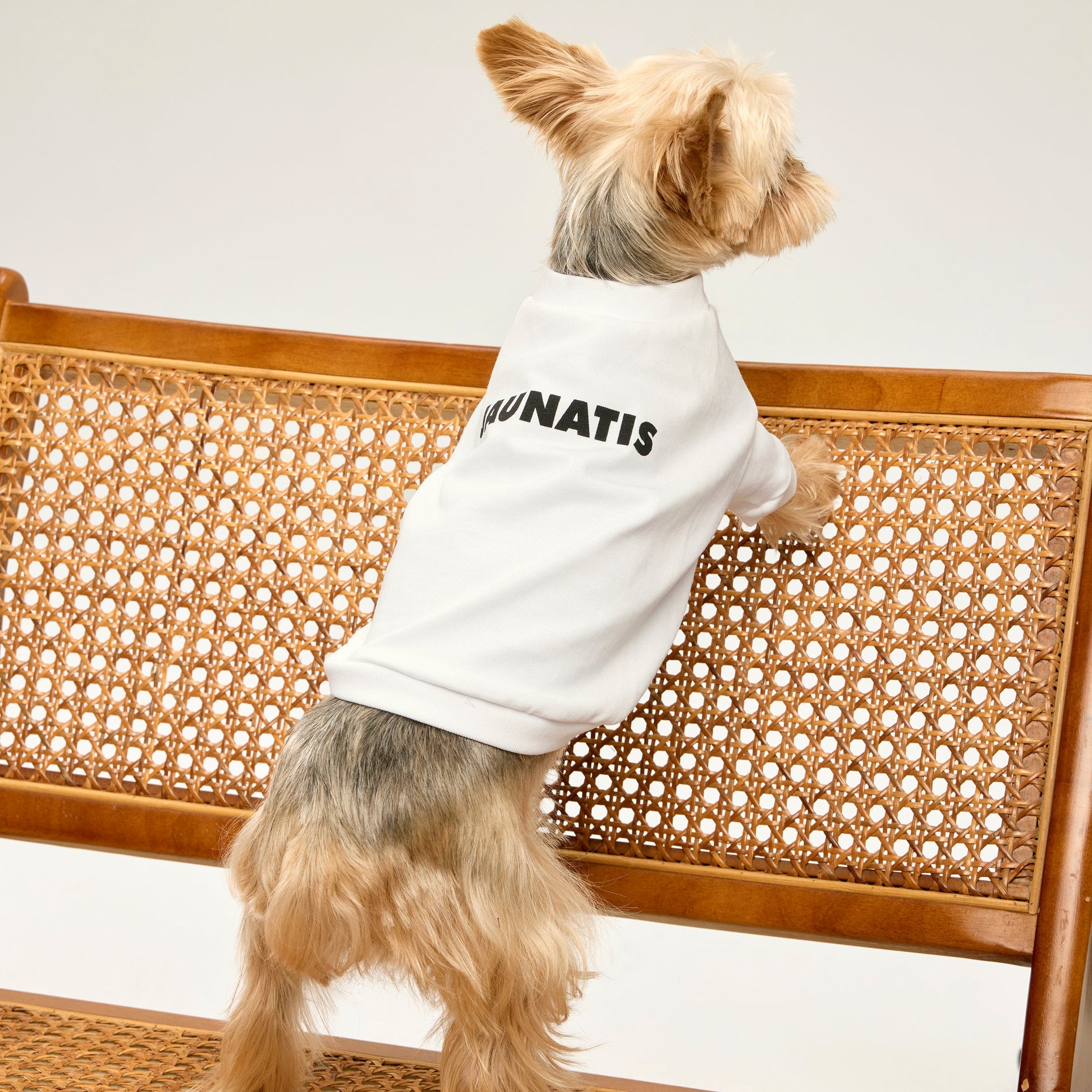 100% Cotton T-Shirt with Back Print