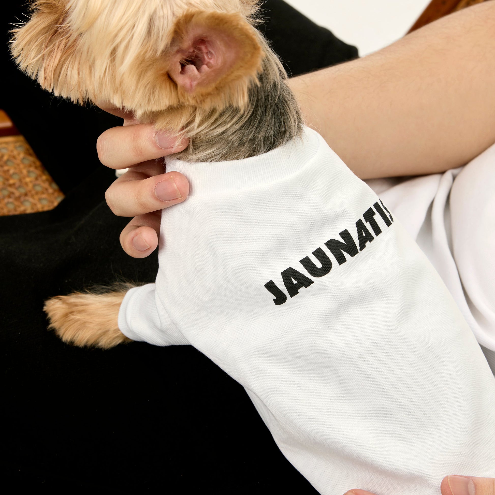 100% Cotton T-Shirt with Back Print