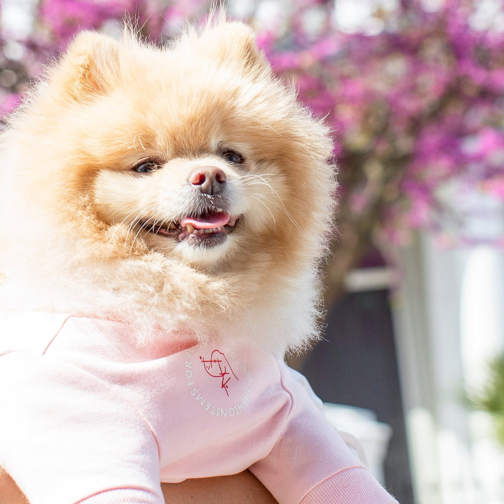 Printed Figure Sweatshirt in Blue and Pink