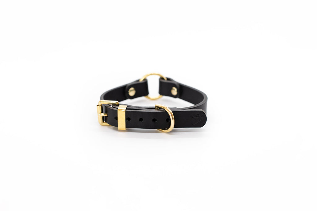 O Ring Leather Collar