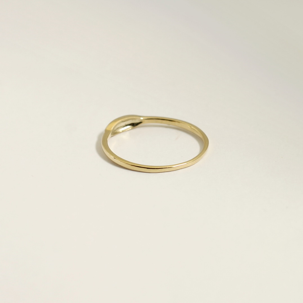 Slim Oval Signet Ring in Gold or Silver
