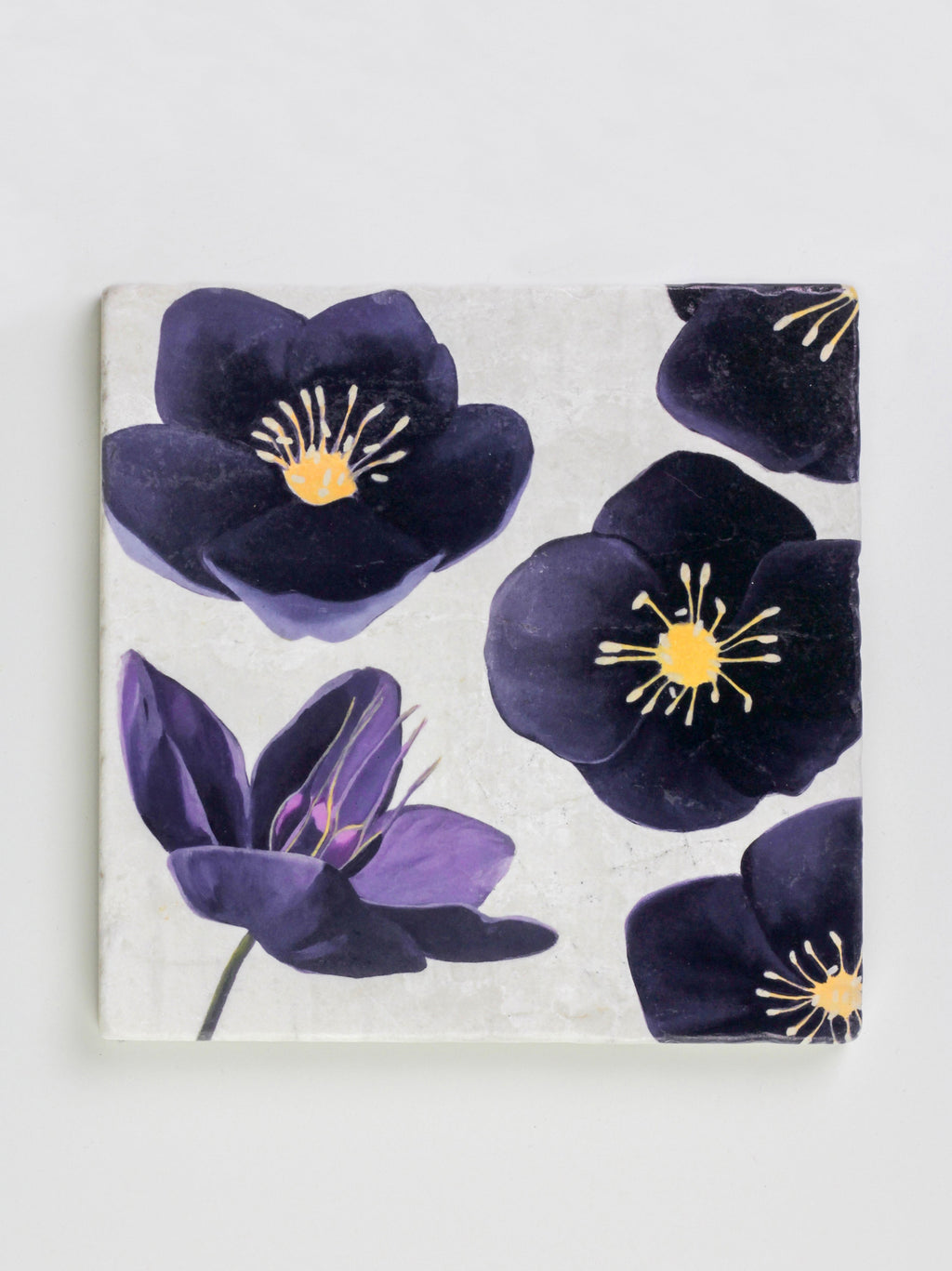 Black Hellebore on Snow Marble Trivet
