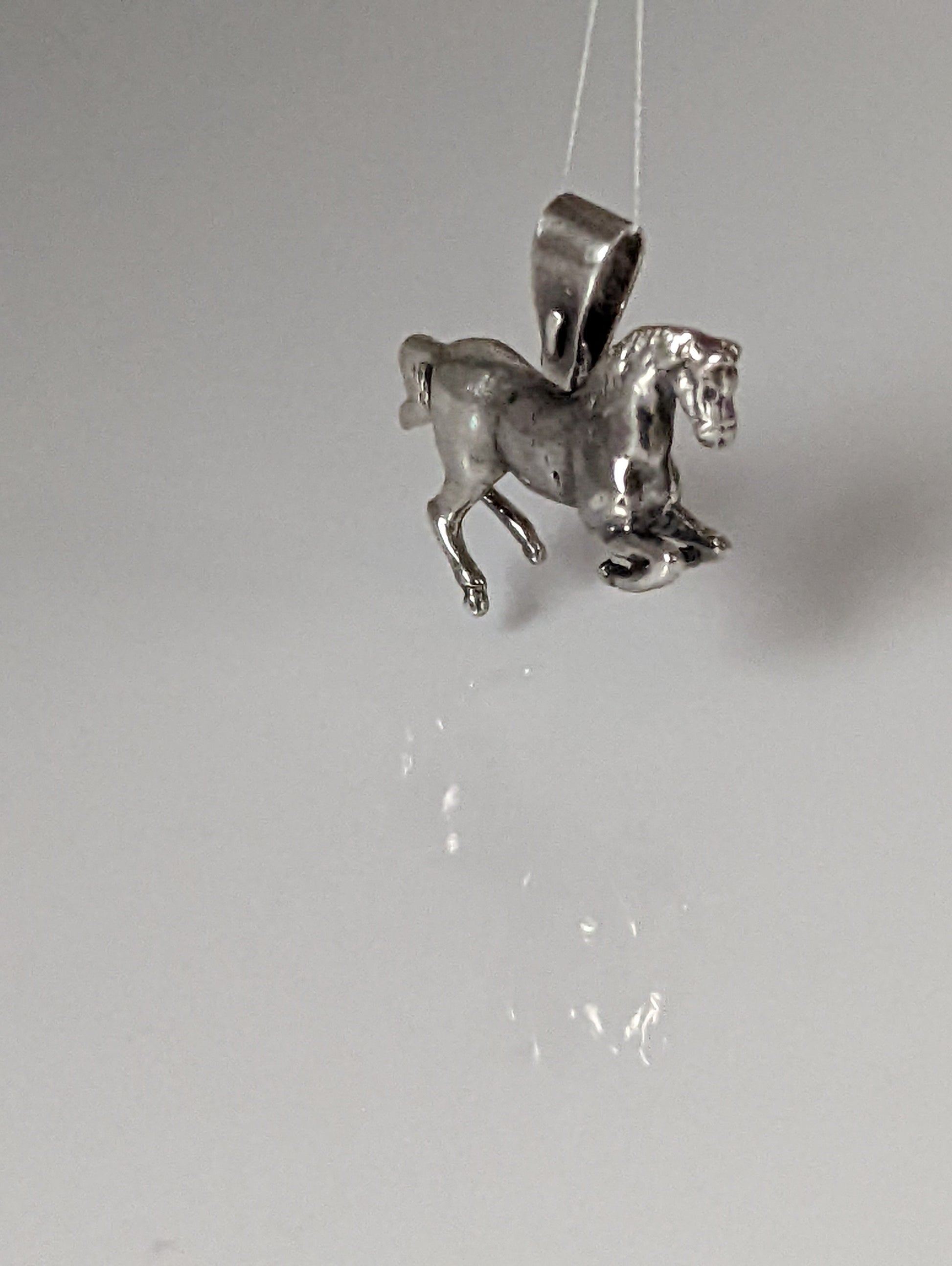 Silver Steed Haute Ecole Pendant