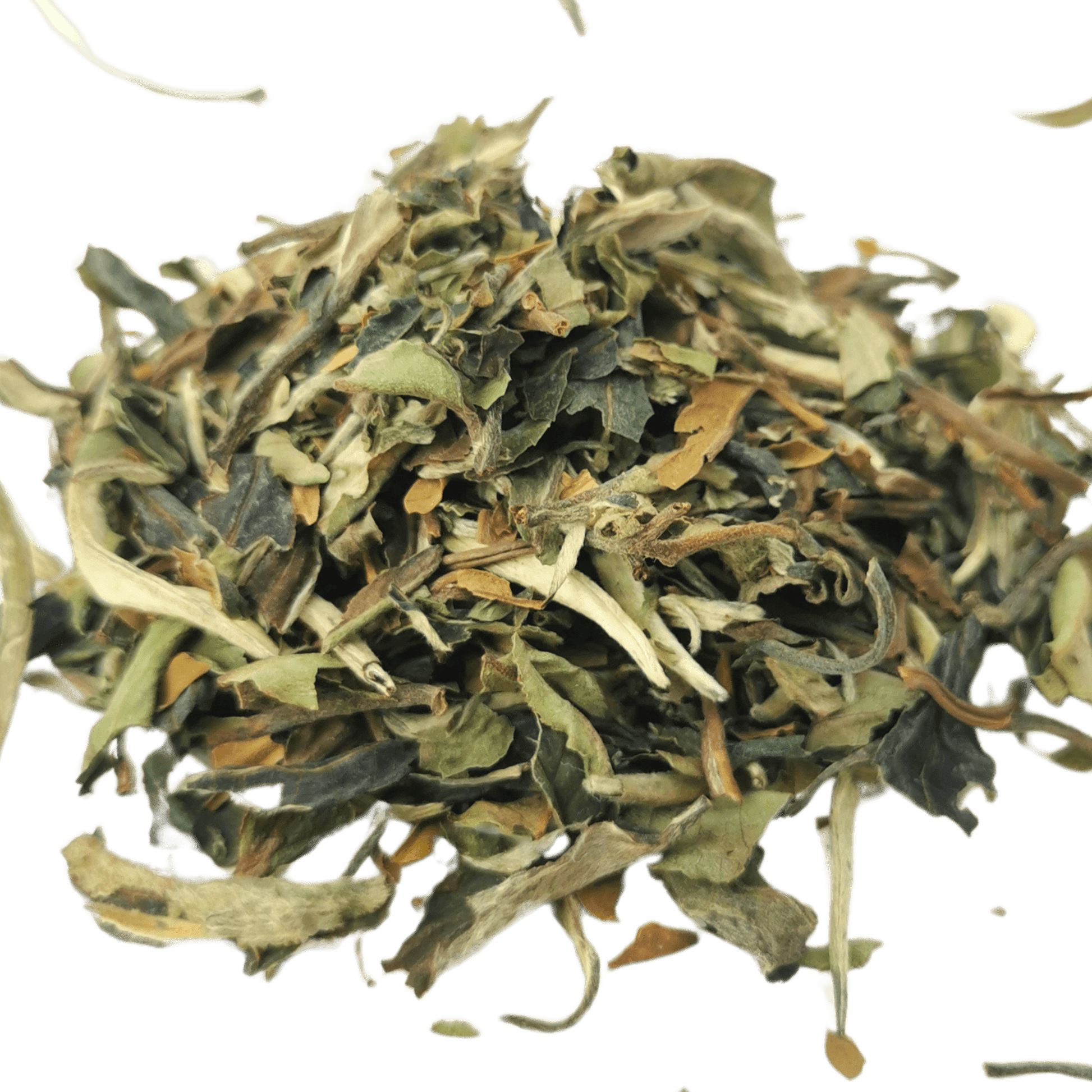 Pai Mu Tan (White Peony)