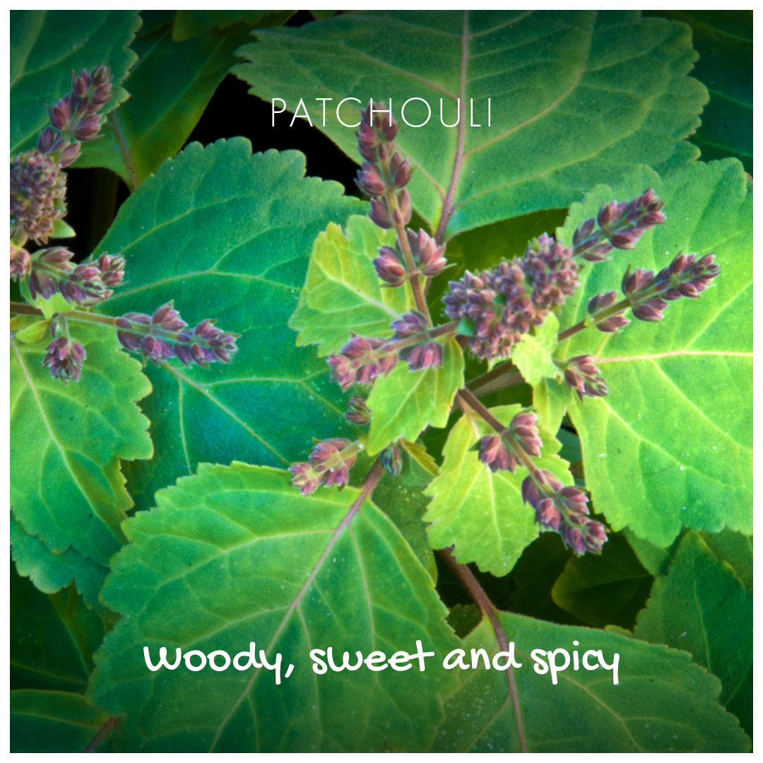 Sandalwood and Patchouli Natural Soap Bar