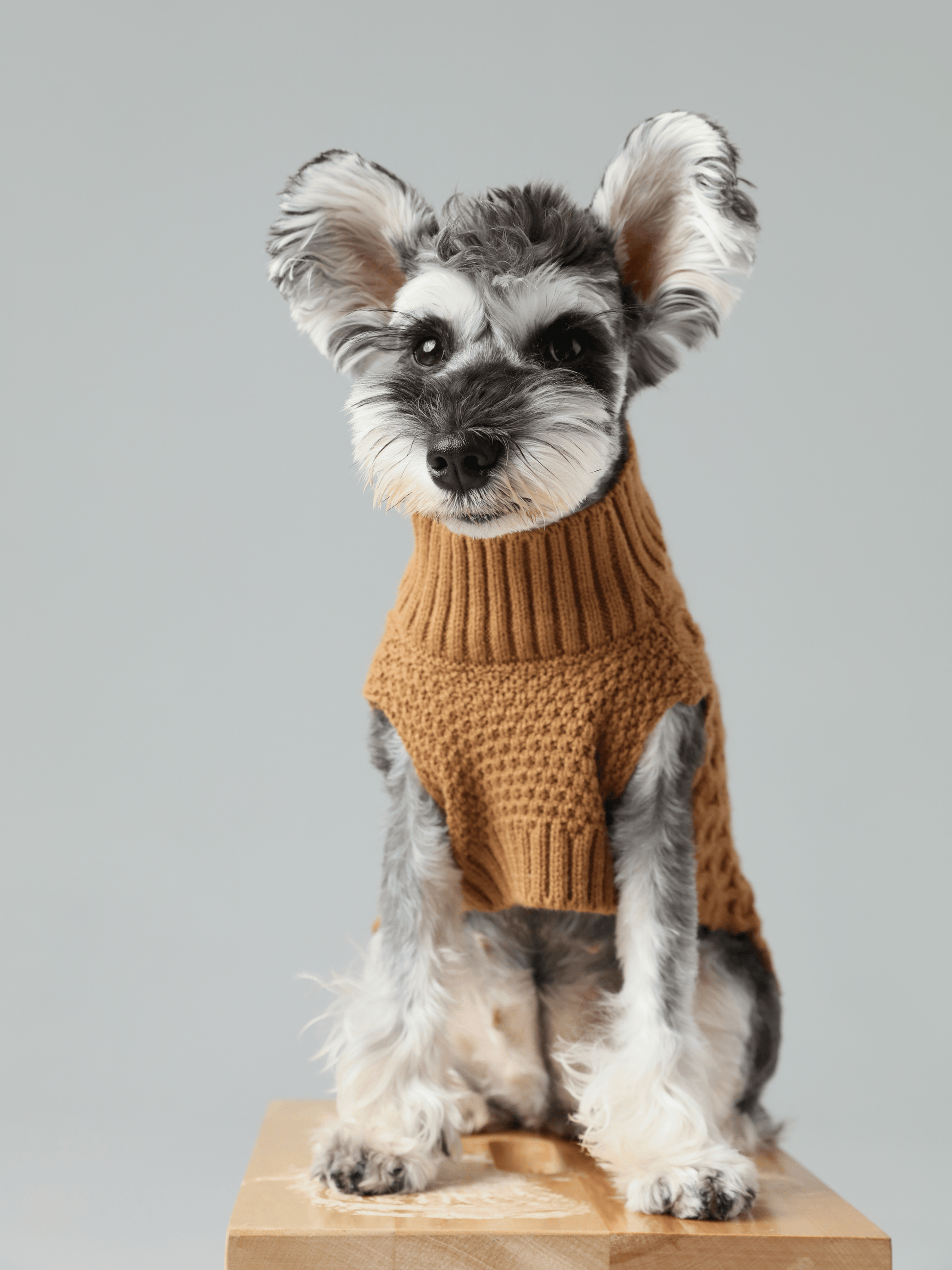 Pet Sweater Vest in Toffee Orange