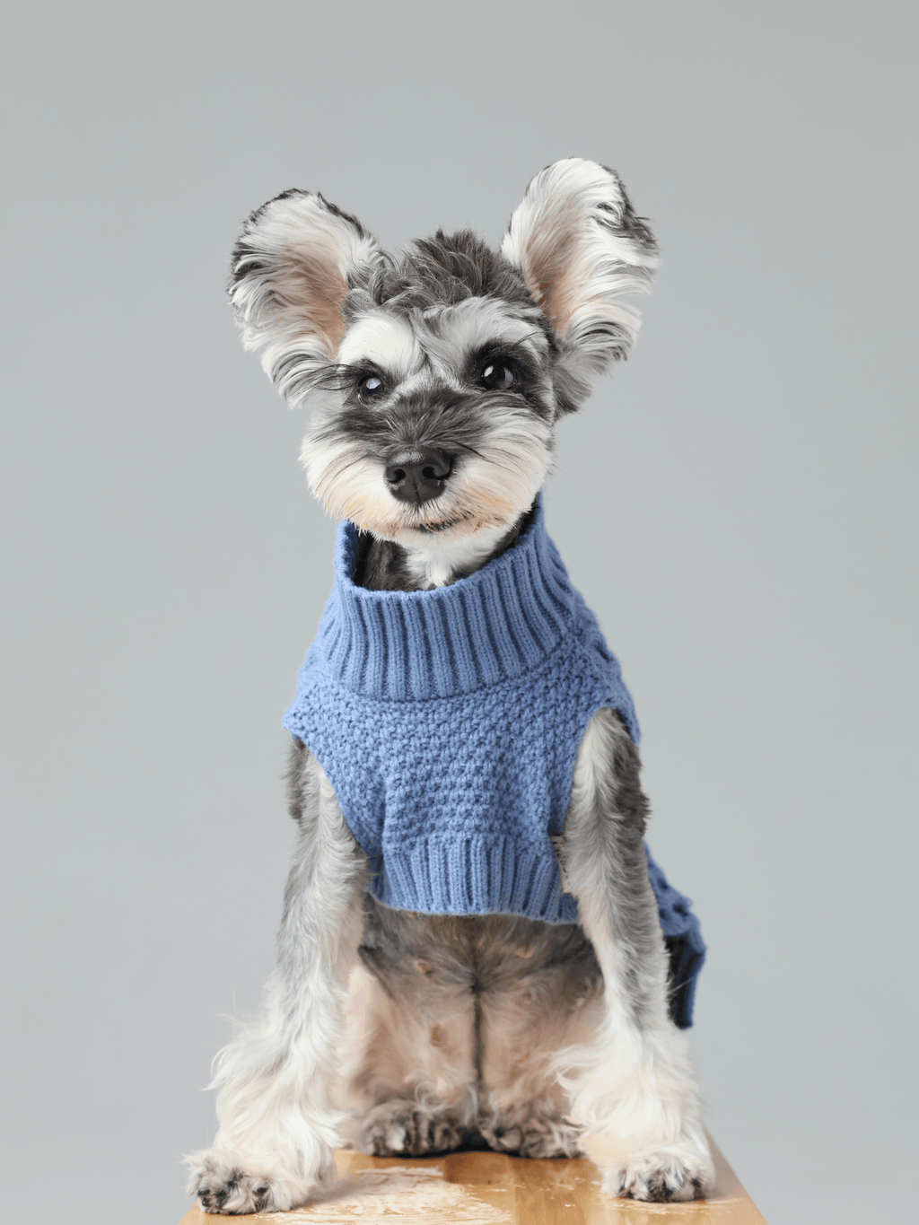 Ice Blue Pet Sweater Vest
