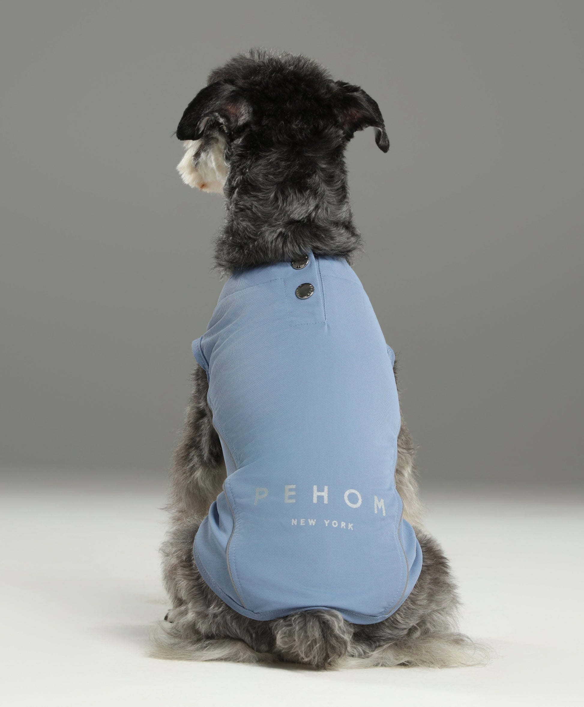 Chill Vest Shirt in Blue for Dogs and Cats