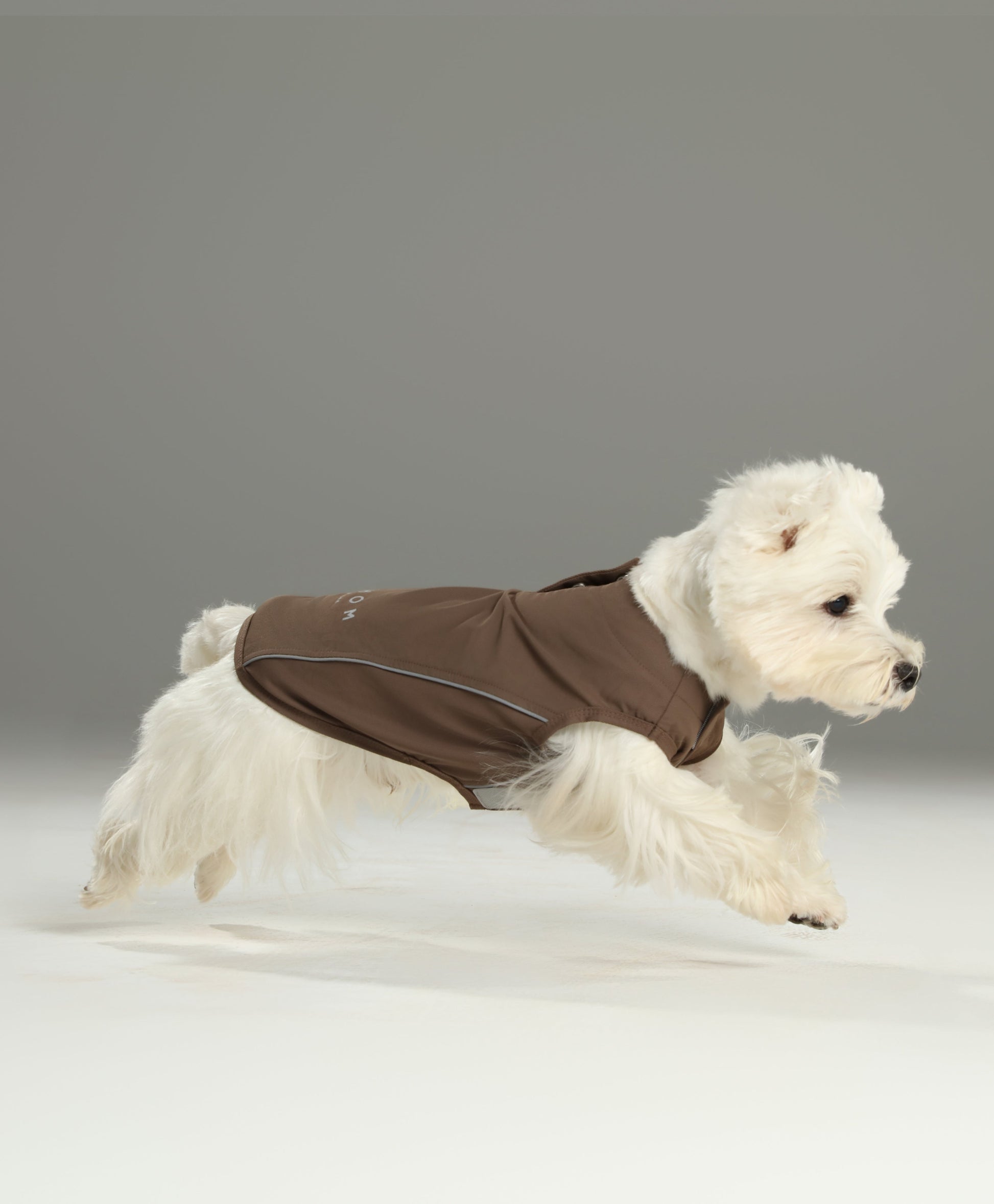 Chill Vest Shirt in Mocha for Dogs and Cats