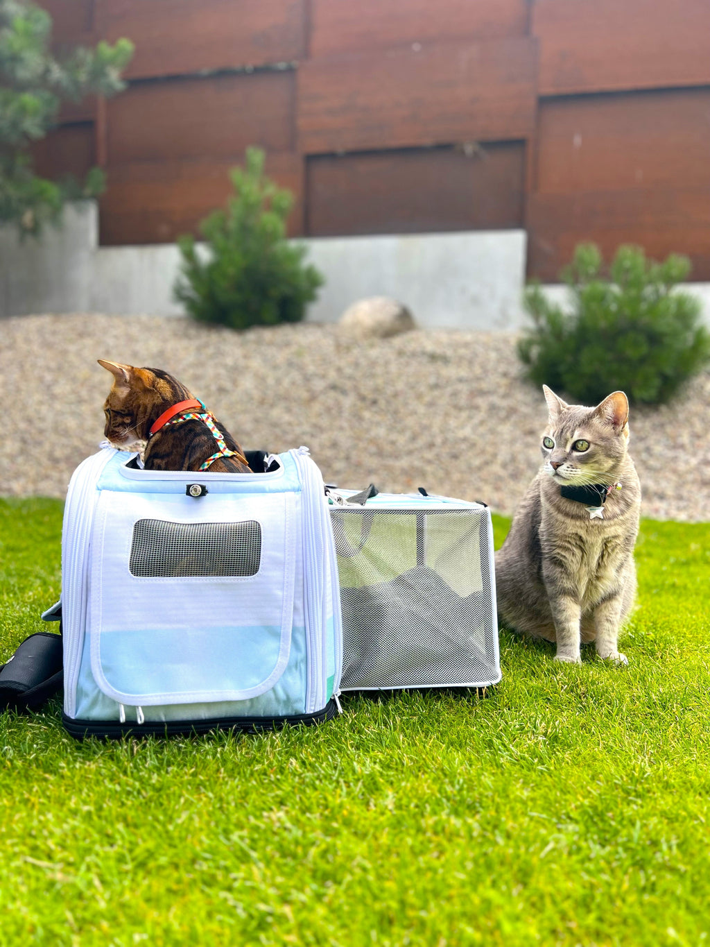 THE BABY BLUE ROAMER - KITTYRAMA CAT CARRIER & HIDEAWAY
