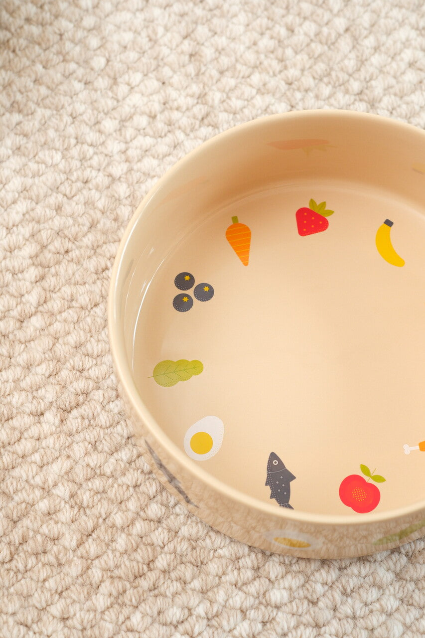 Nomnom Pet Feeding Bowl