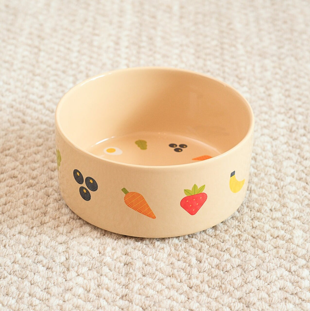 Nomnom Pet Feeding Bowl