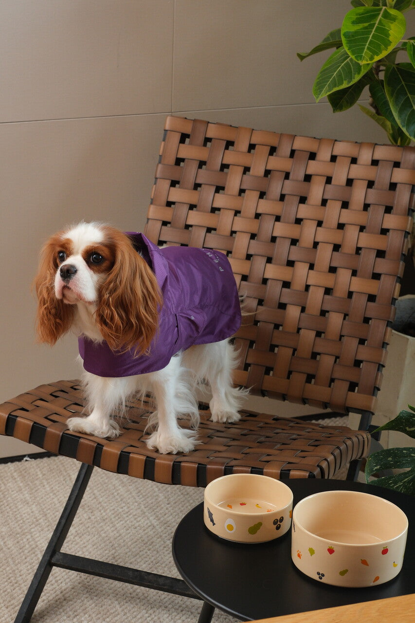 Nomnom Pet Feeding Bowl