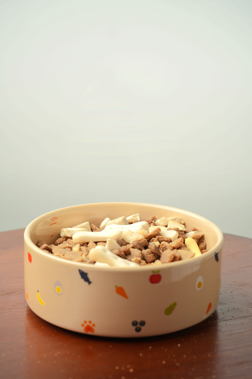 Nomnom Pet Feeding Bowl