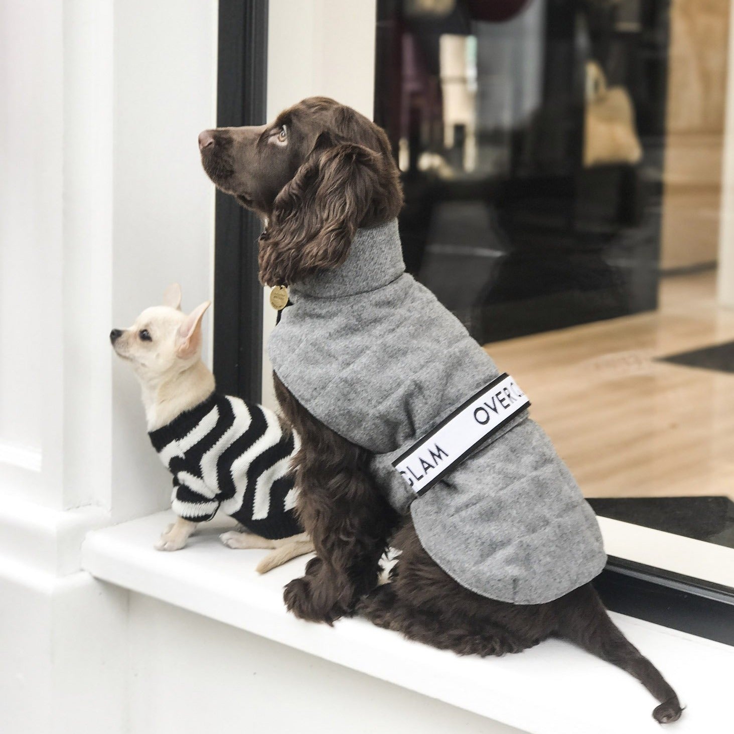 Zig Zag Jumper in Red and Black