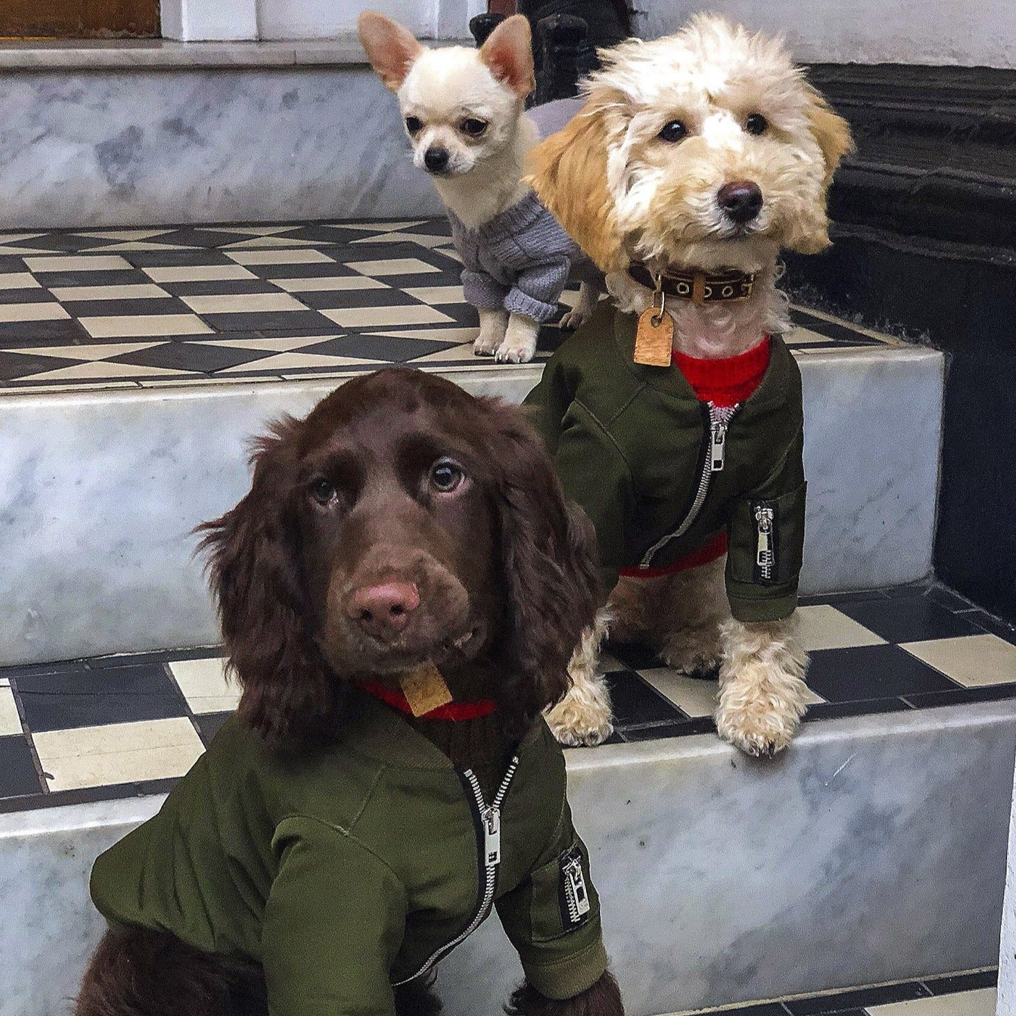 Zipped Bomber Jacket in Green
