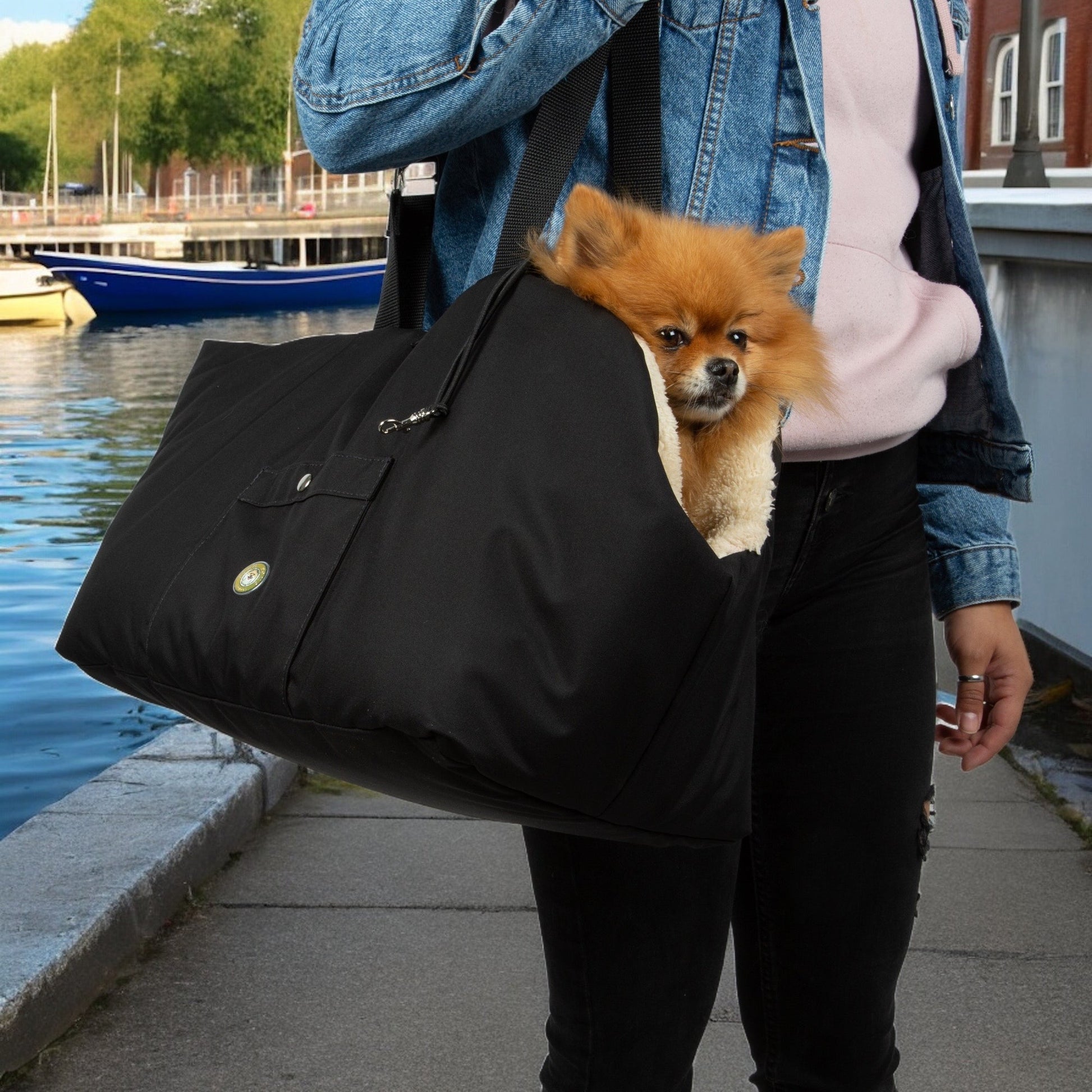 Soho Poms Black & Light Blue Luxury Rainy Bear Dog Carrier with Zipper