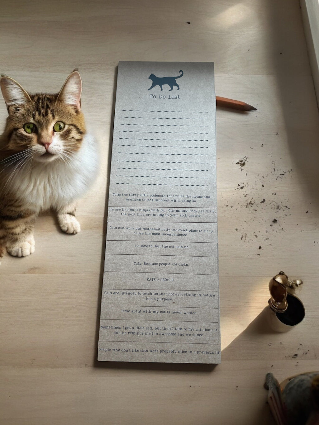 Cat Lover To Do List Clipboard with 10 Lined Pages