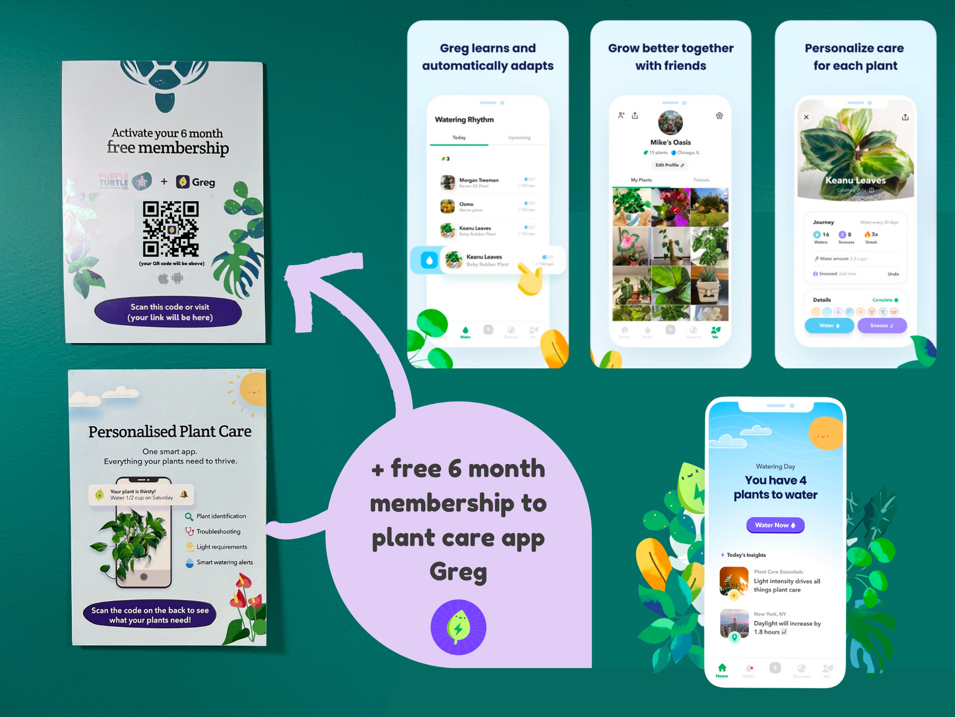 Plant Propagation Gift Set #3