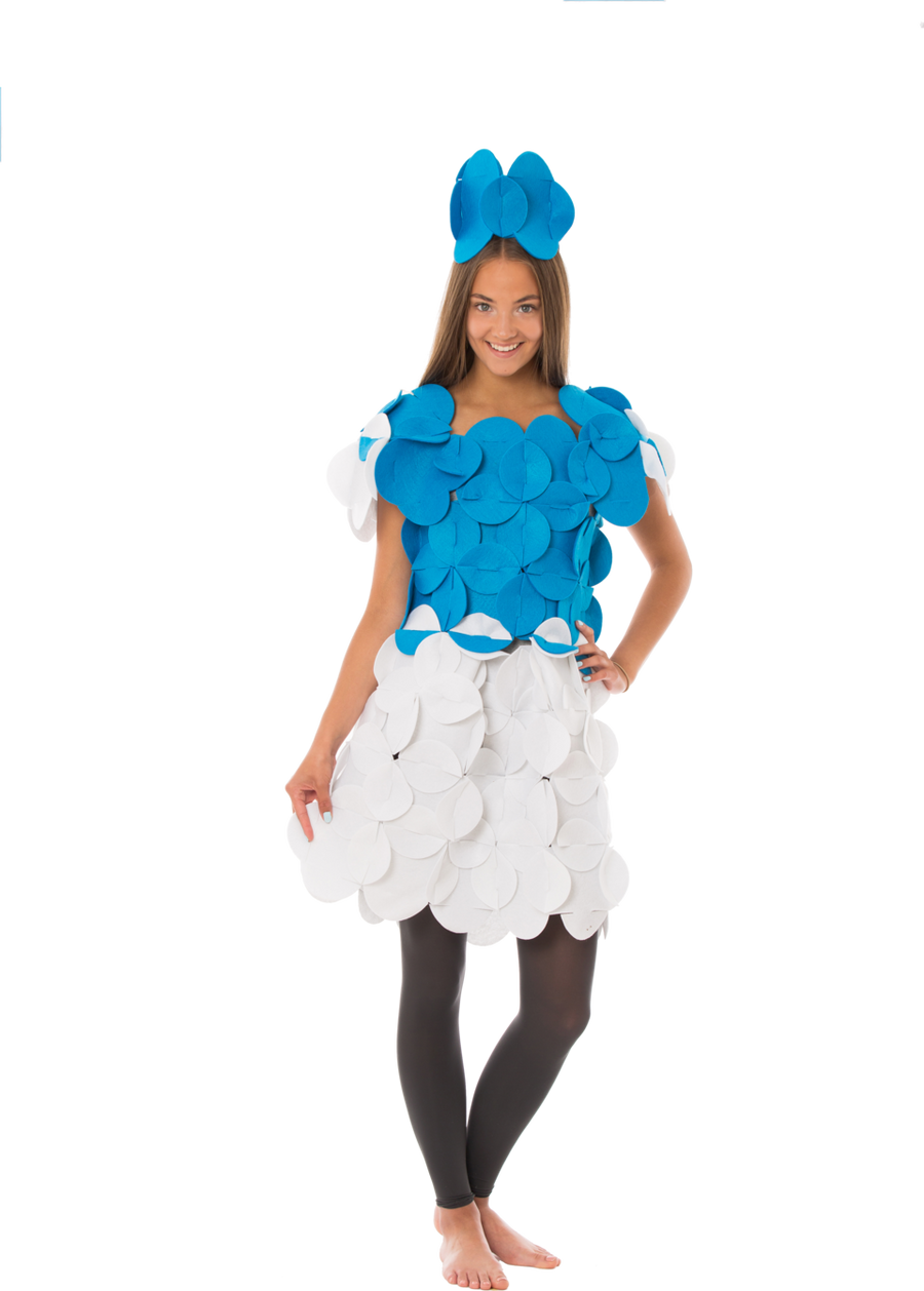 Costume Puzzle - Priscilla the Adventurous Princess