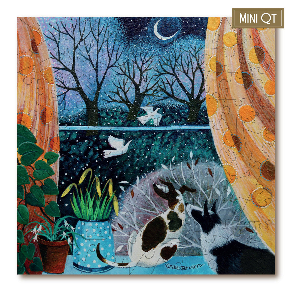 Watching Snowfall MINI QT