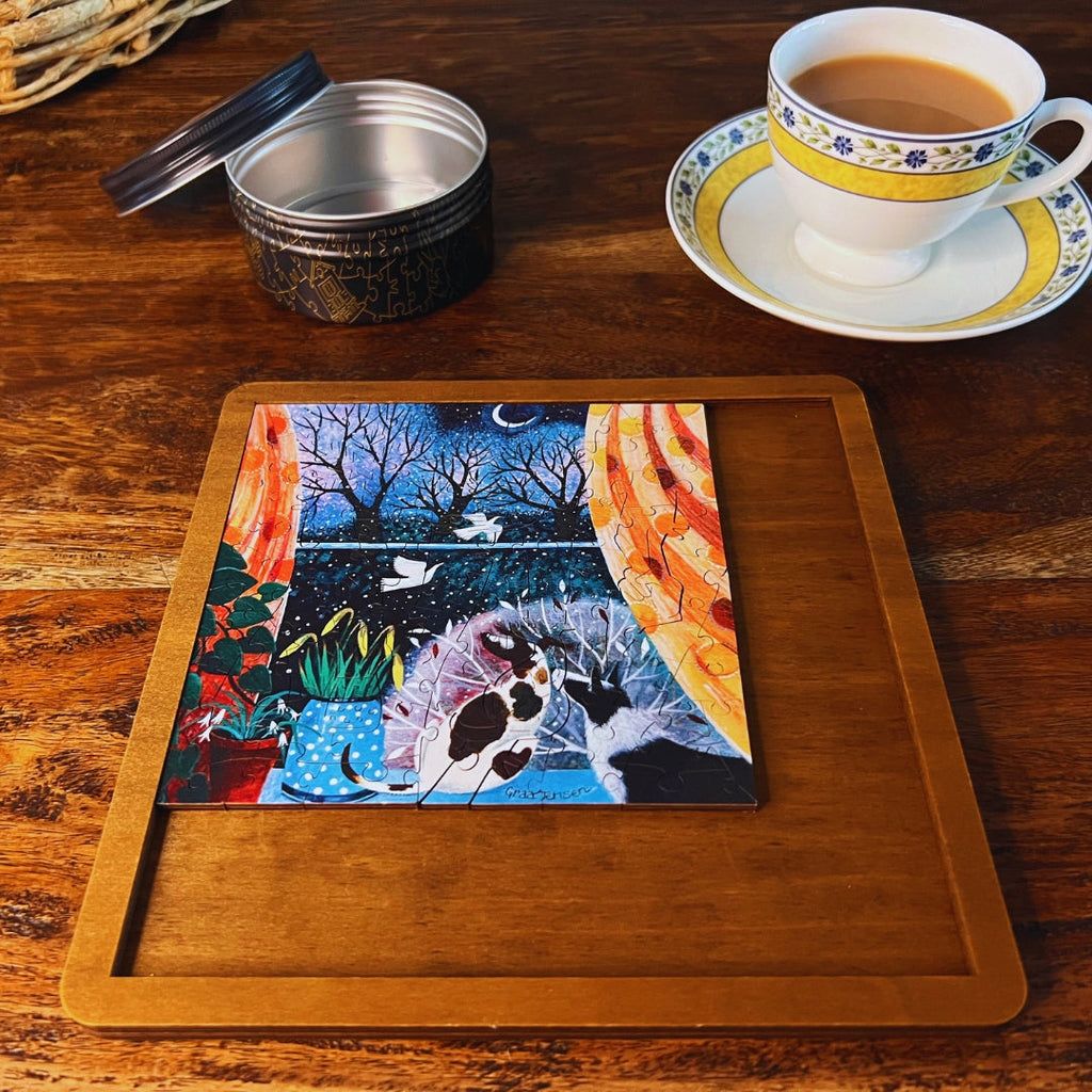 Watching Snowfall MINI QT