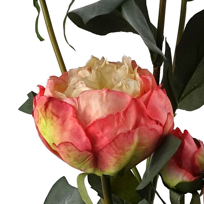 Pink Peony Artificial Flower Stems Bundle 6 Pack