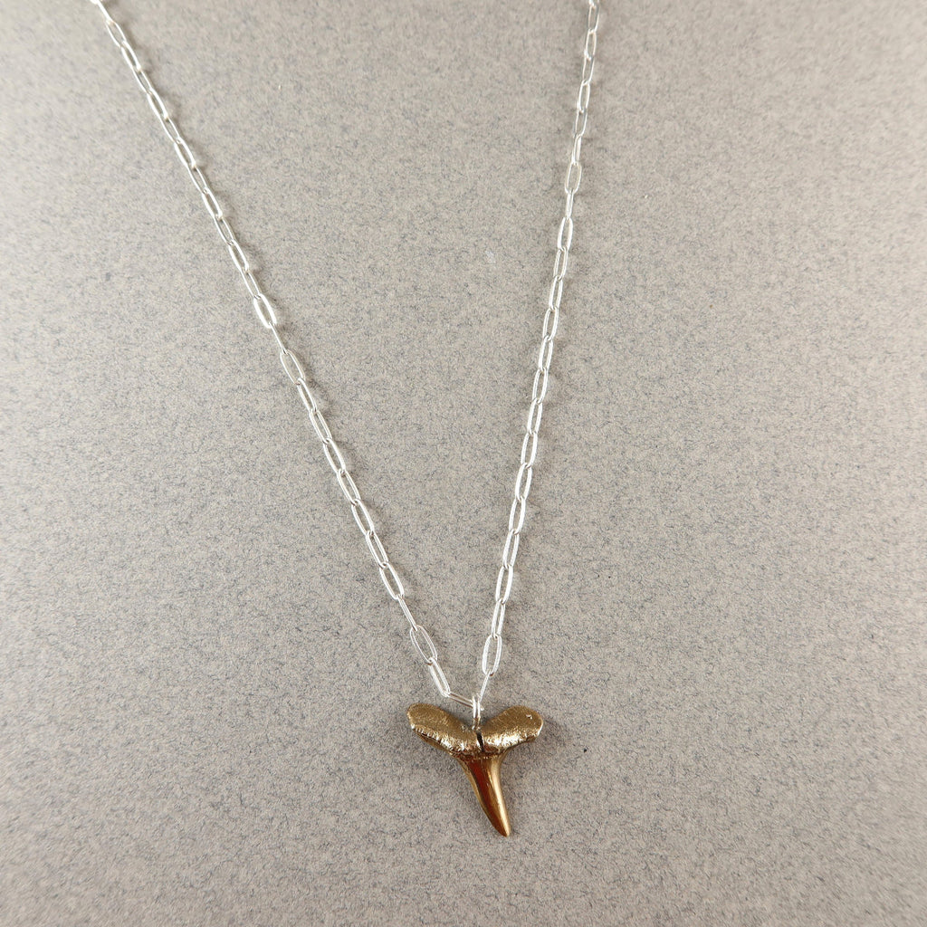 Fossilised Lemon Shark Tooth Necklace