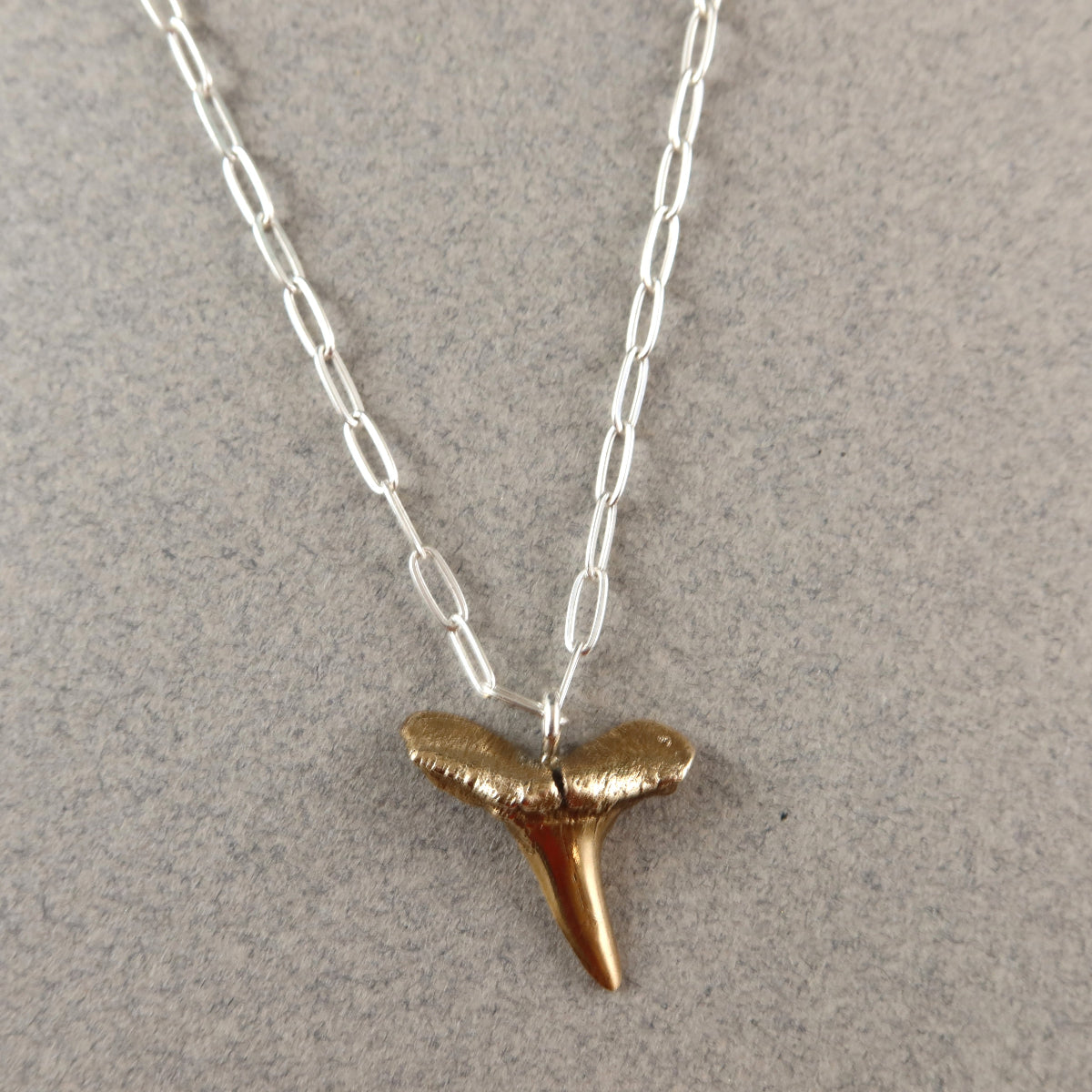 Fossilised Lemon Shark Tooth Necklace