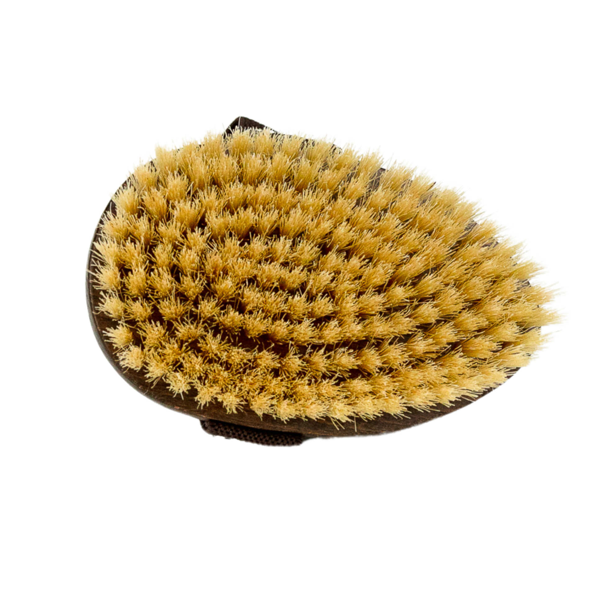 Dry Skin Body Brush with Natural Bristles
