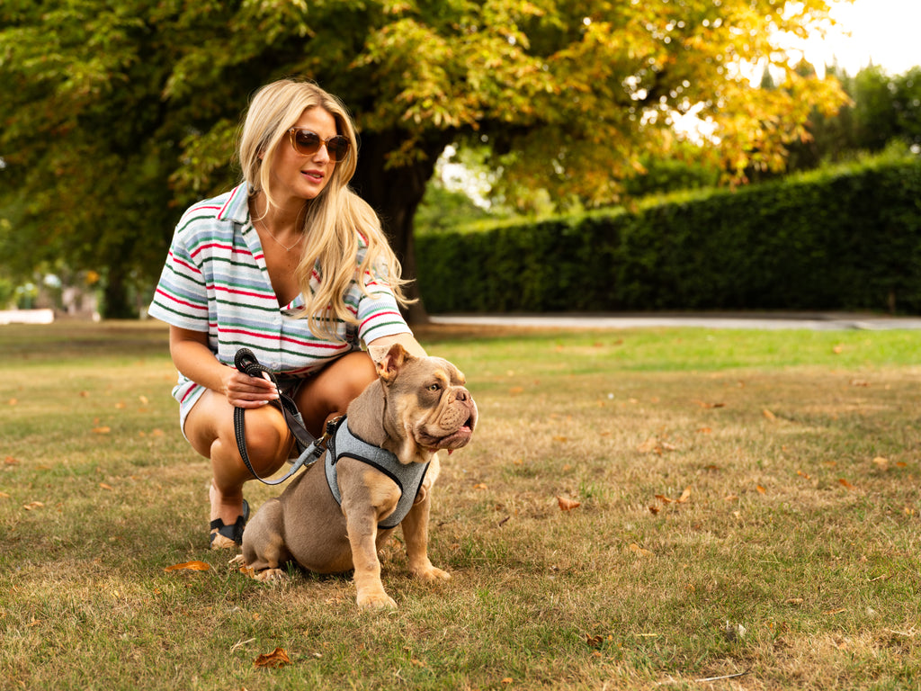 Soho Poms x Bowl & Bone Republic Mayfair Harness - Ocean