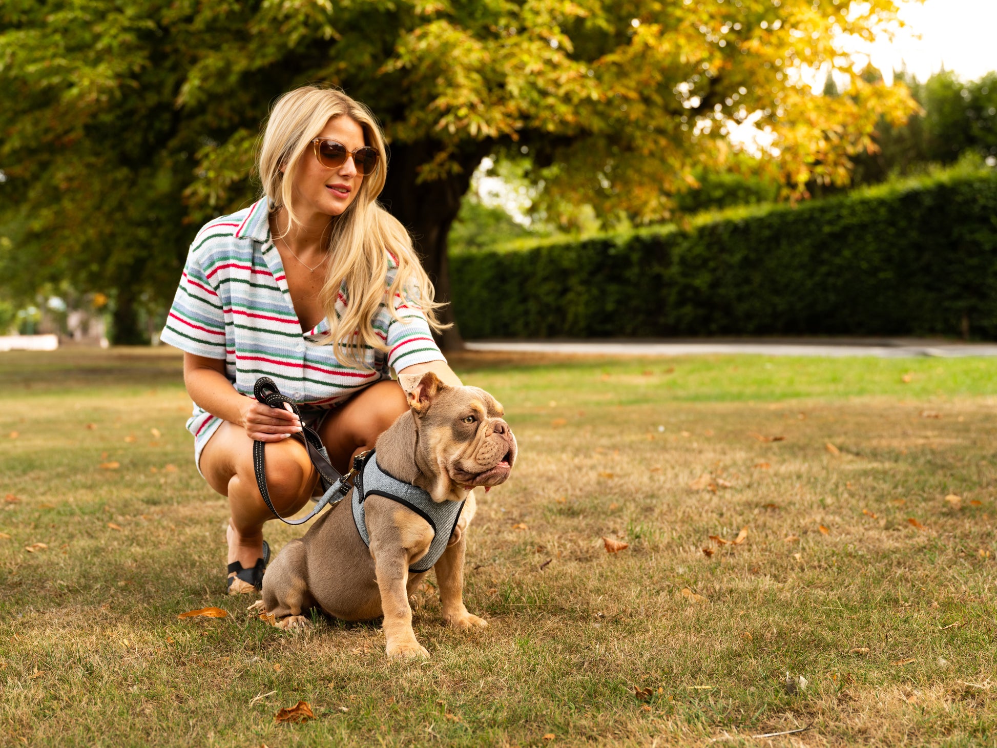 Soho Poms x Bowl & Bone Republic Mayfair Harness - Ocean