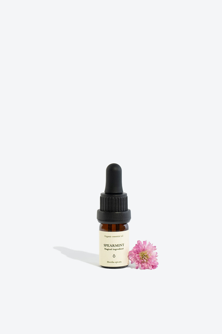 Organic Mentha Spicata Essential Oil – Calm, Focus & Freshness by Smells Like Spells at www.brixbailey.com