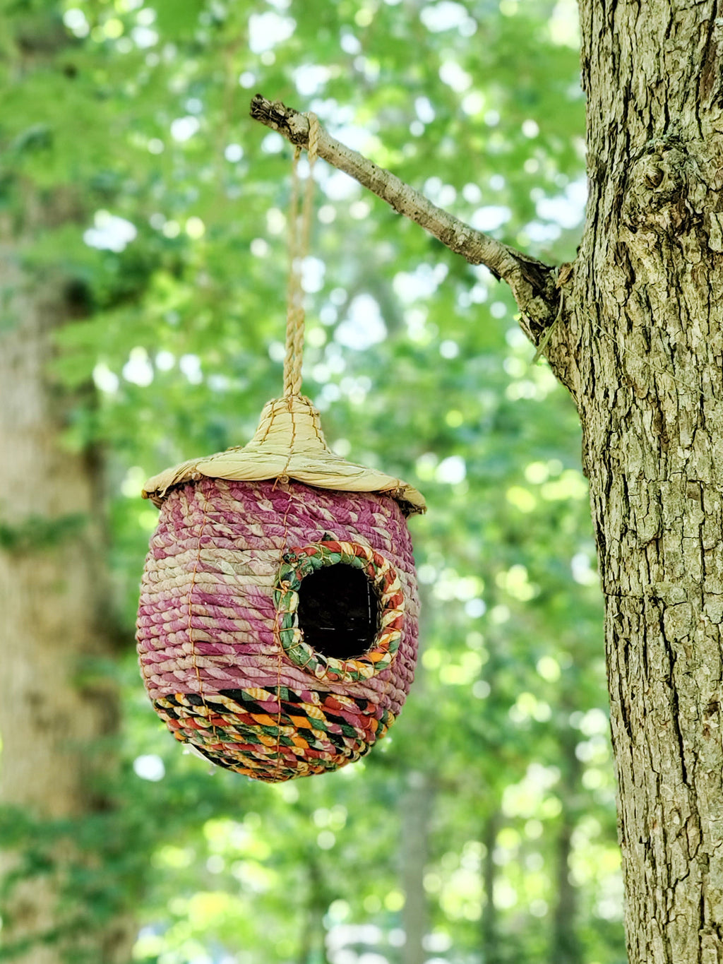 Seagrass and Sari Birdhouse in Acorn