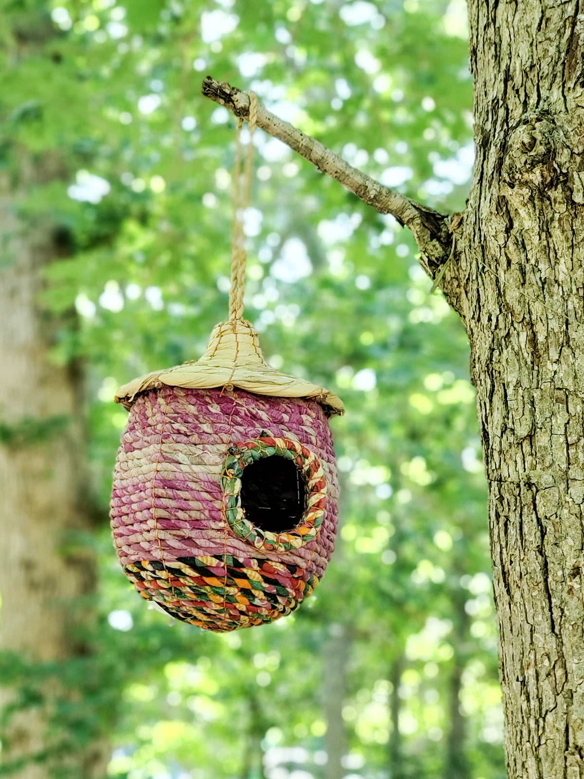 Seagrass and Sari Birdhouse in Acorn