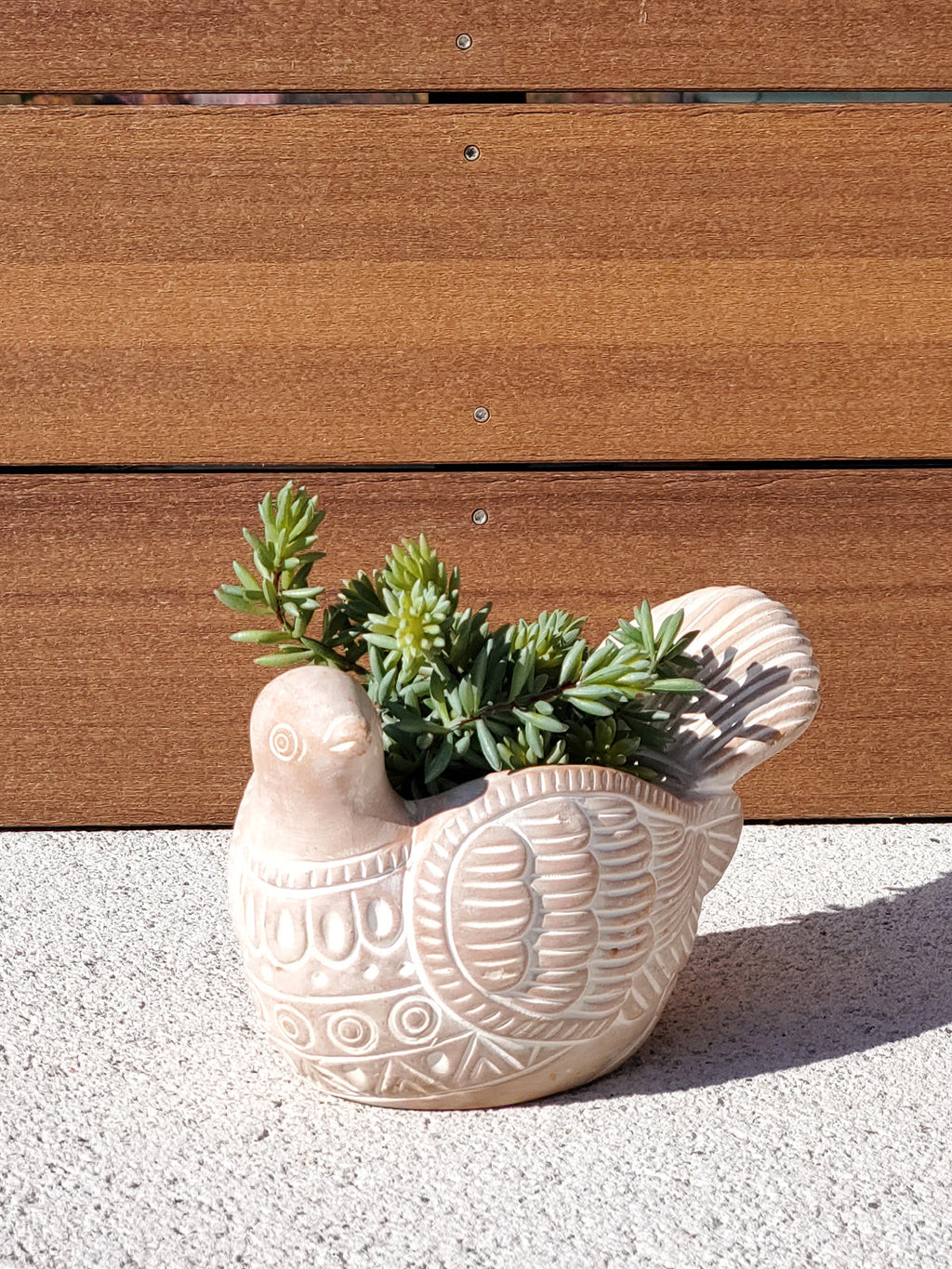 Terracotta Turtle Dove Planter Pot