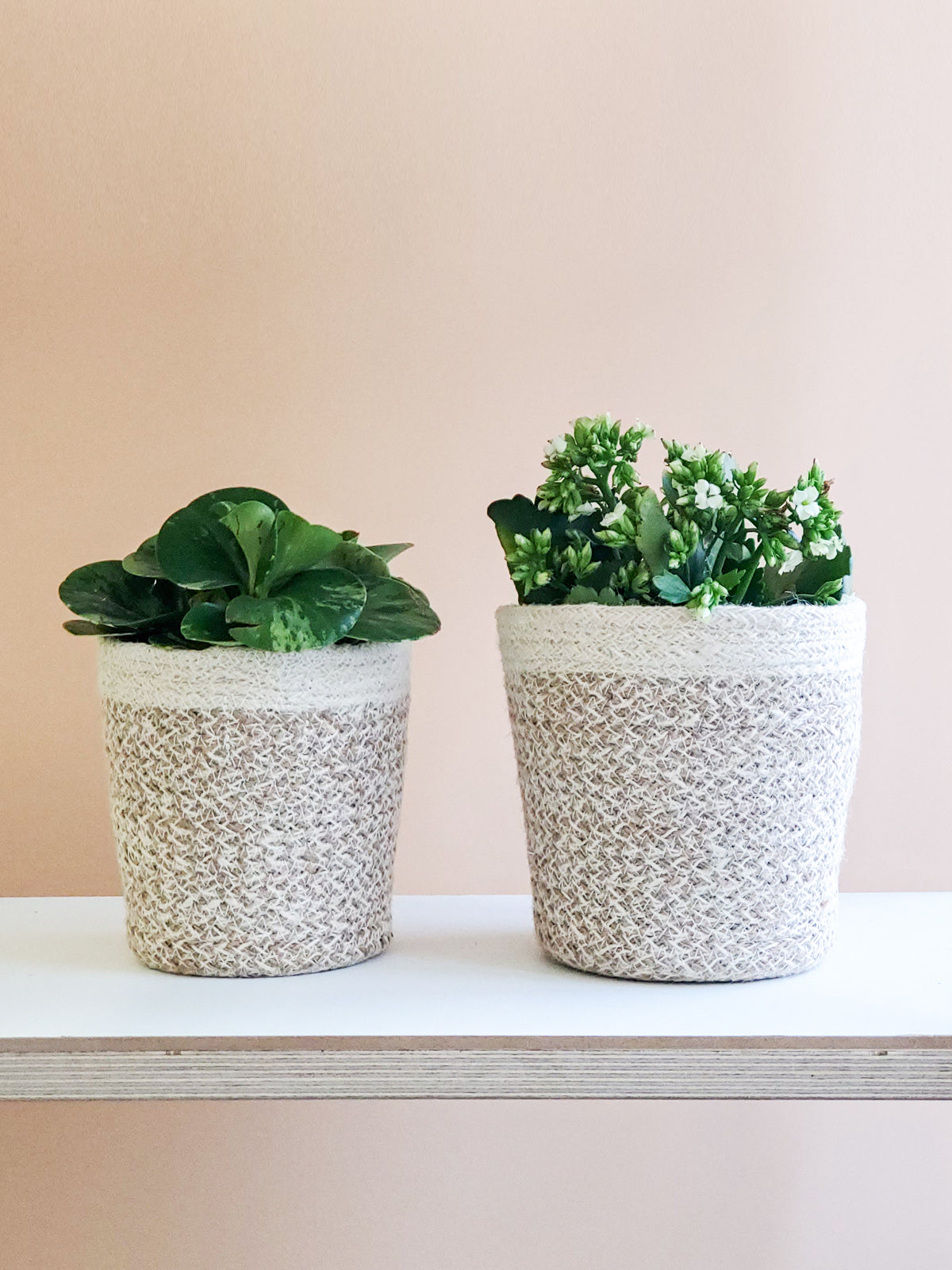 White Jute Plant Basket