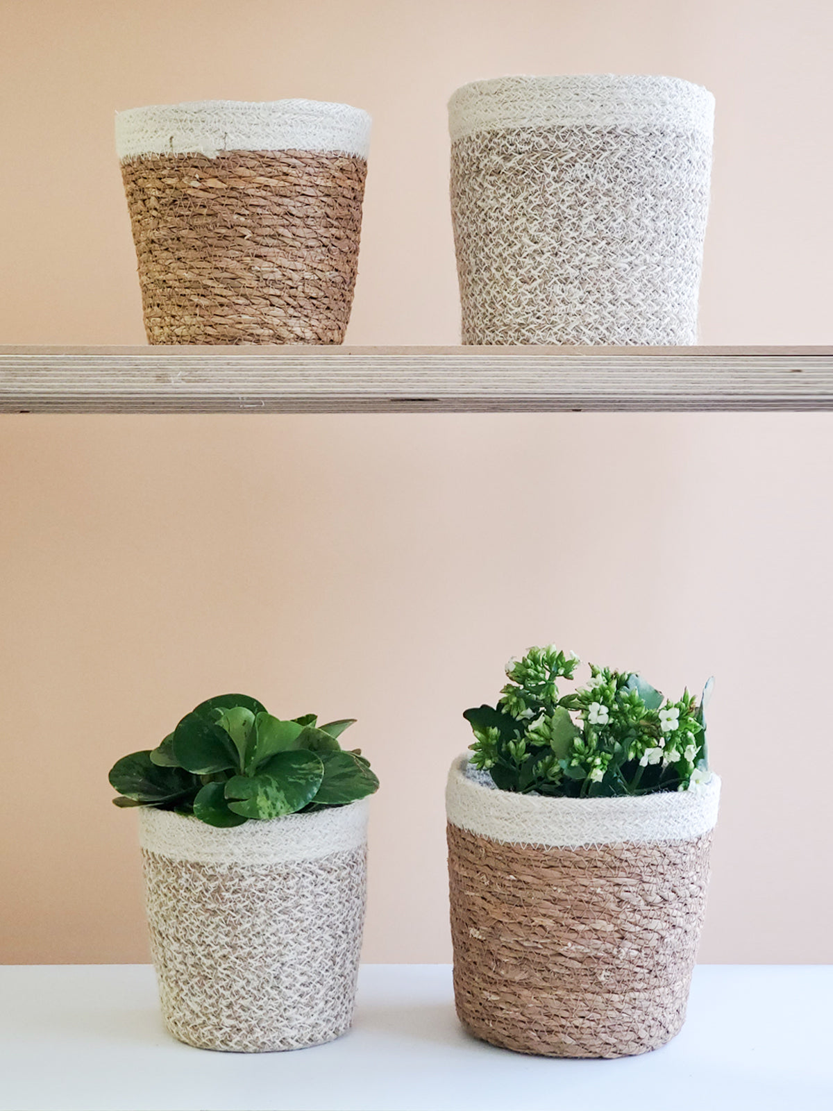 White Jute Plant Basket